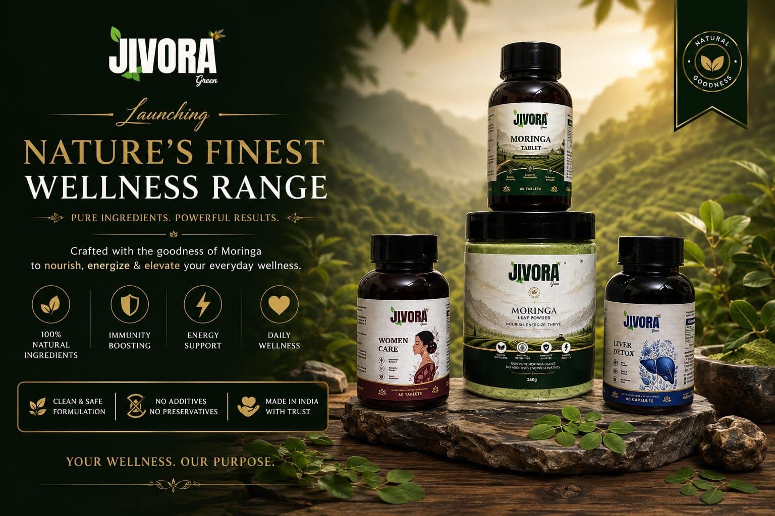 10 Key Wellness Benefits of Pure Moringa Leaf Powder for Daily Vitality